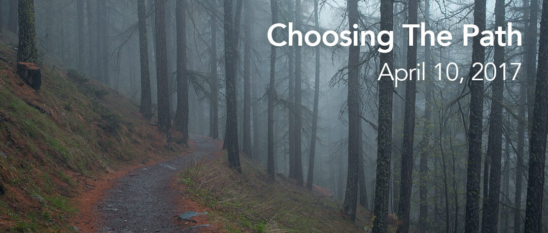 Choosing The Path