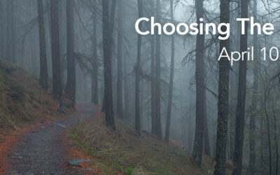 Choosing The Path