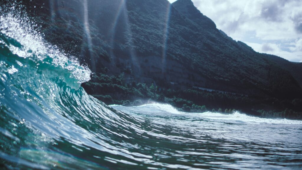 The Mountain and the Sea