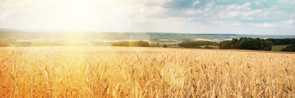The Lord of the Harvest