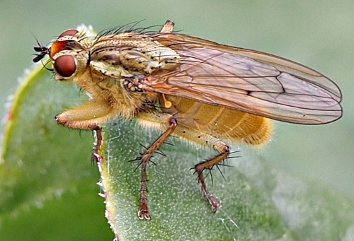 A Question at the End