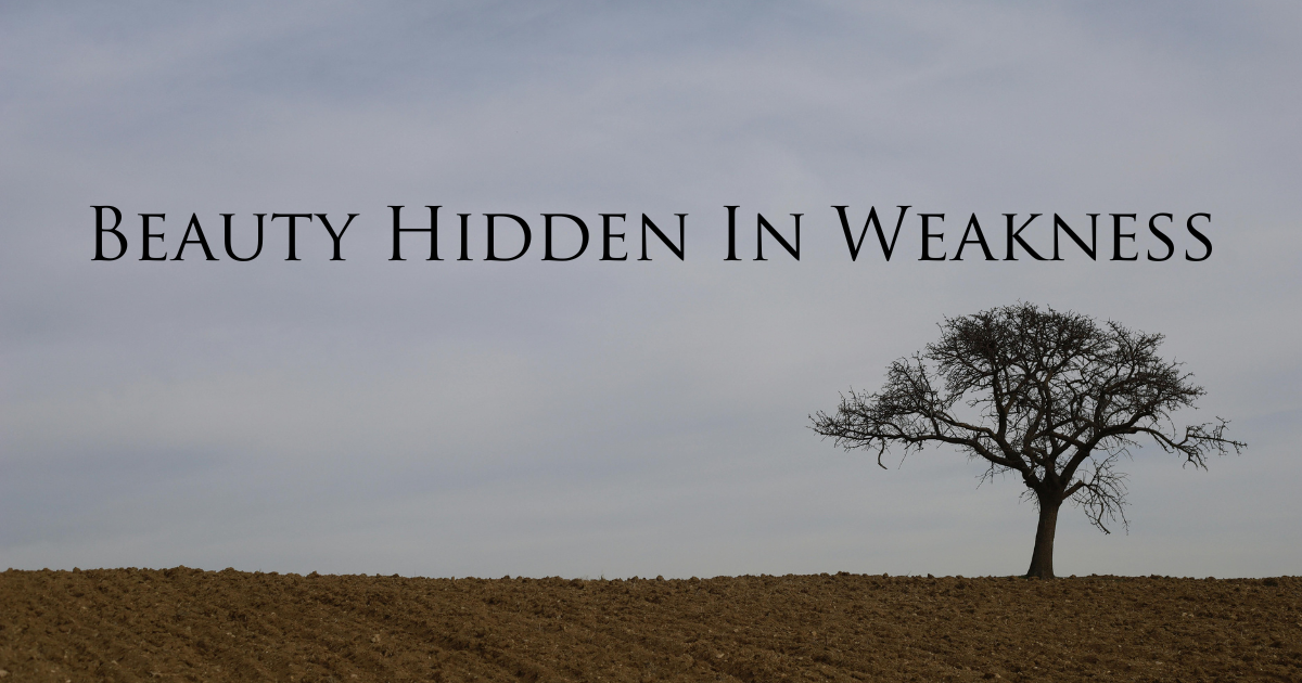 Beauty Hidden In Weakness